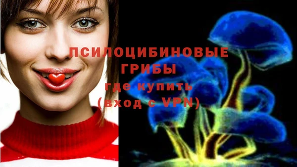 ГАЛЛЮЦИНОГЕННЫЕ ГРИБЫ Алексеевка