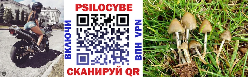 продажа наркотиков  Болгар  Псилоцибиновые грибы ЛСД 